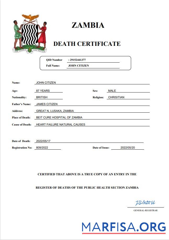 Realistic Zambia vital record death certificate Word and PDF template